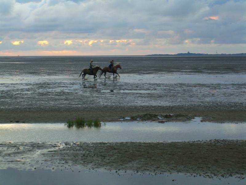 Apartment Ferienwohnung Nordsee *